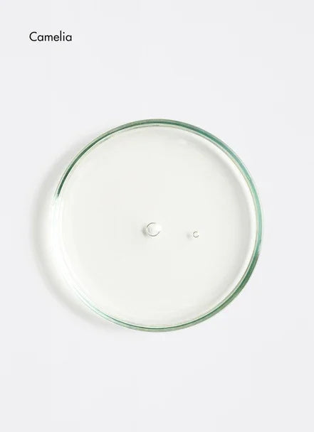 Clear round glass dish labeled 'Camelia' on a white background.