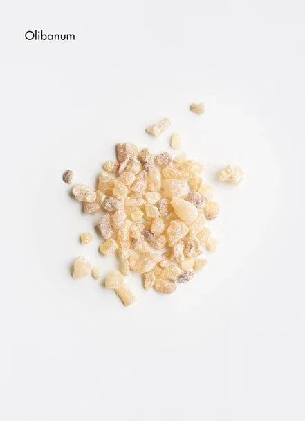 Olibanum resin crystals scattered on a white surface, showcasing their natural texture and colors.