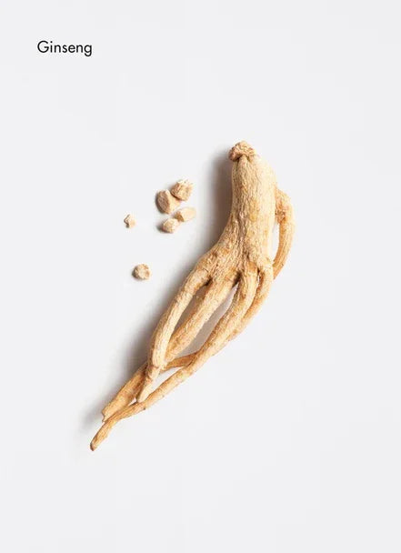 Dried ginseng root with smaller pieces on a white background, showcasing its natural texture and form.