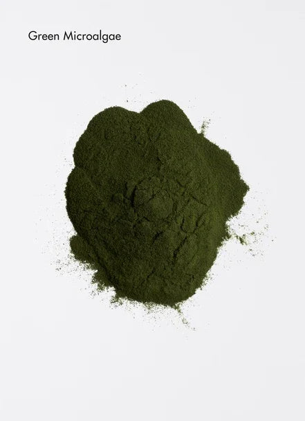 Powdered green microalgae used in hair care products for revitalizing and nourishing hair roots.