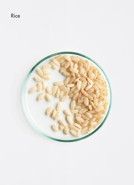 Long Hair Refreshing Dry Shampoo
