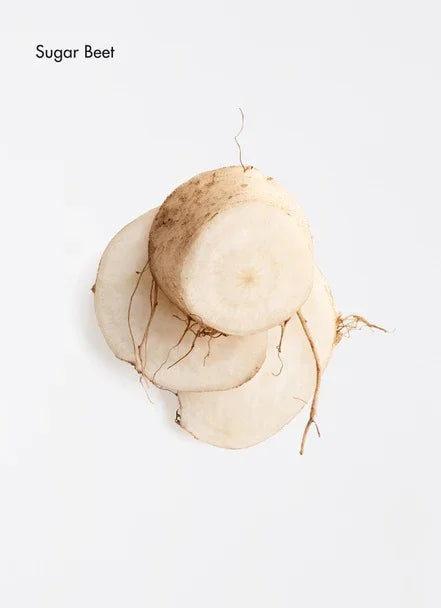 Whole and sliced sugar beet on a white background, showcasing its round shape and roots.