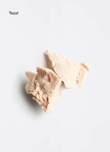Restoring Scalp Lotion