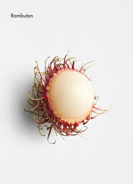 Revitalising Hydro Cream - Bulle D’HAir Olivet