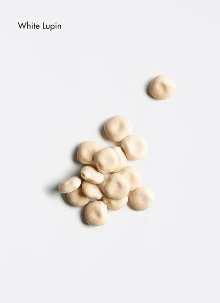 Vitalising Scalp Concentrate - Bulle D’HAir Olivet