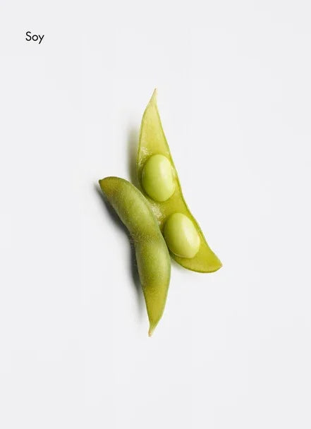 Volume Strengthening Shampoo - Bulle D’HAir Olivet
