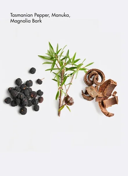 Tasmanian Pepper, Manuka, and Magnolia Bark arranged for natural skincare ingredients.